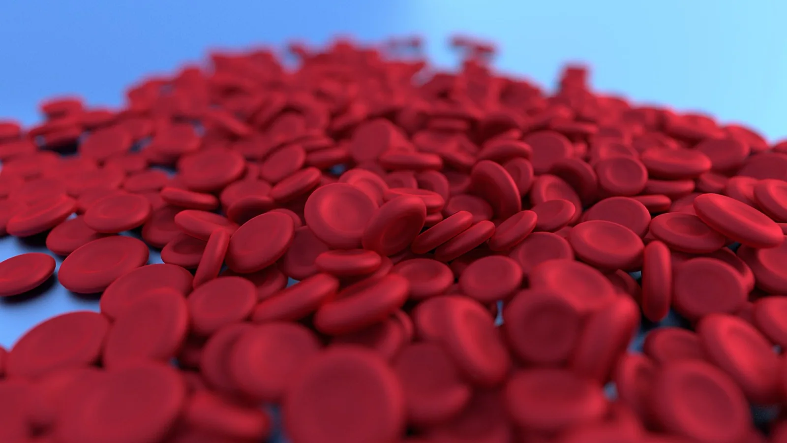 Clotting Cascade: Coagulation Pathway Steps