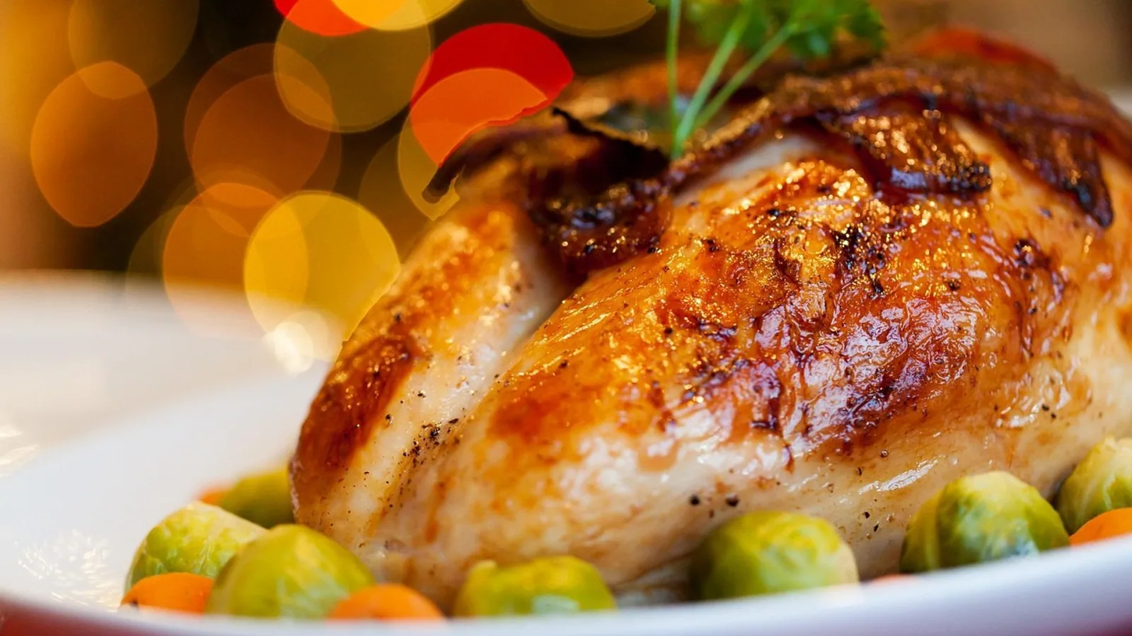 Can Dogs Eat Turkey? Safe Serving Guide for Owners