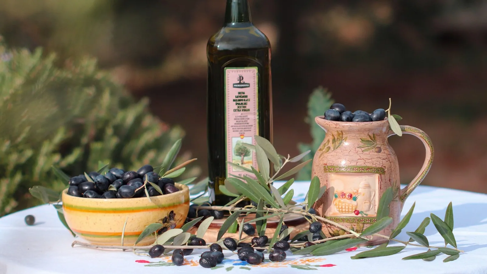 Is Olive Oil Good for Dogs? Benefits and Doses