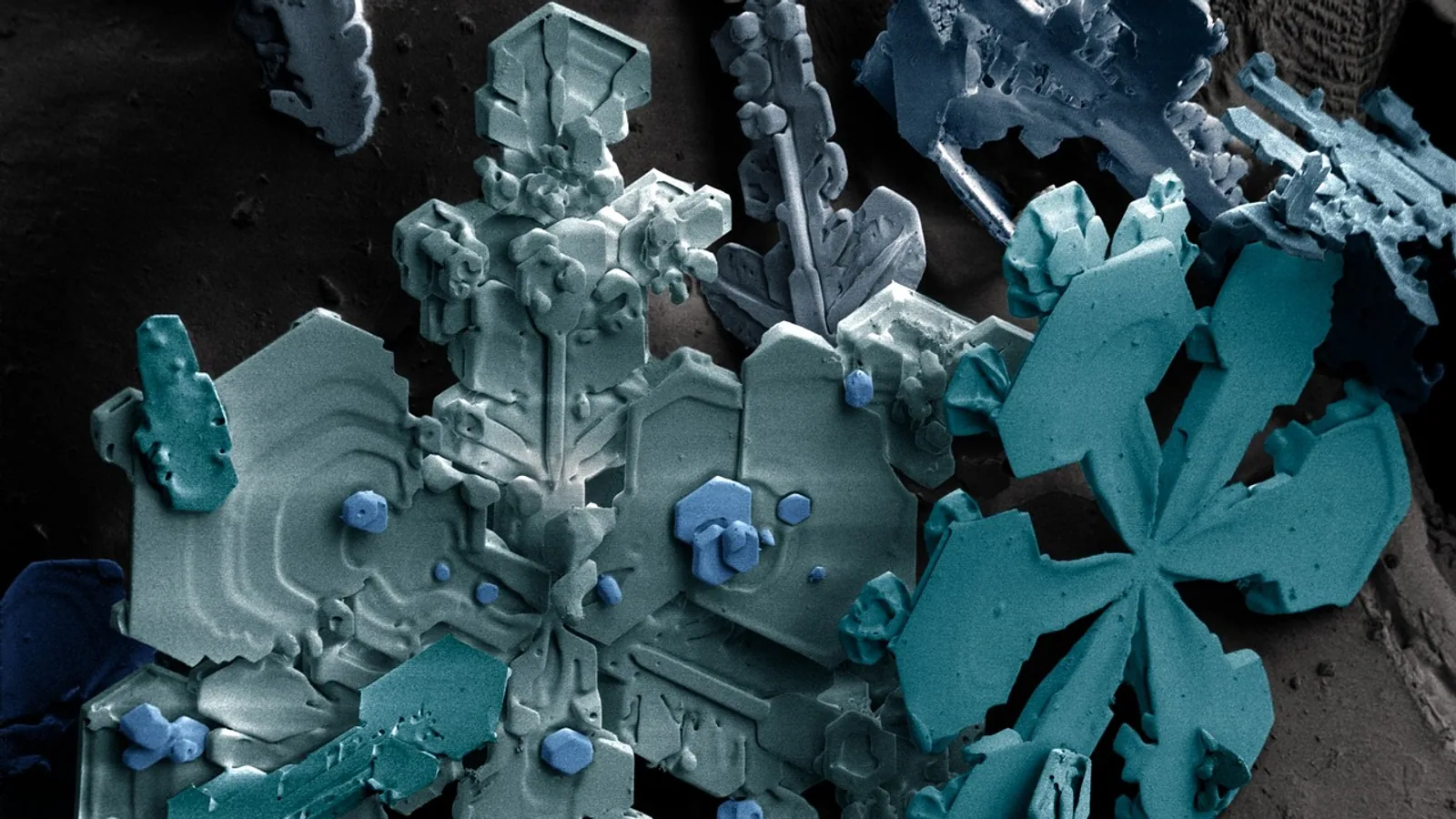 Freezing of Water: Science Explained