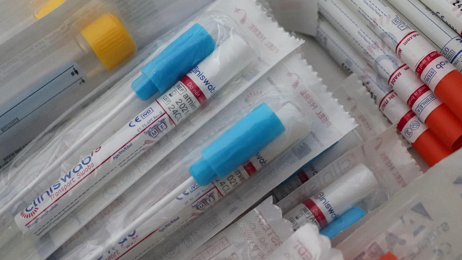 Sterile Definition: What Sterile Means in Science