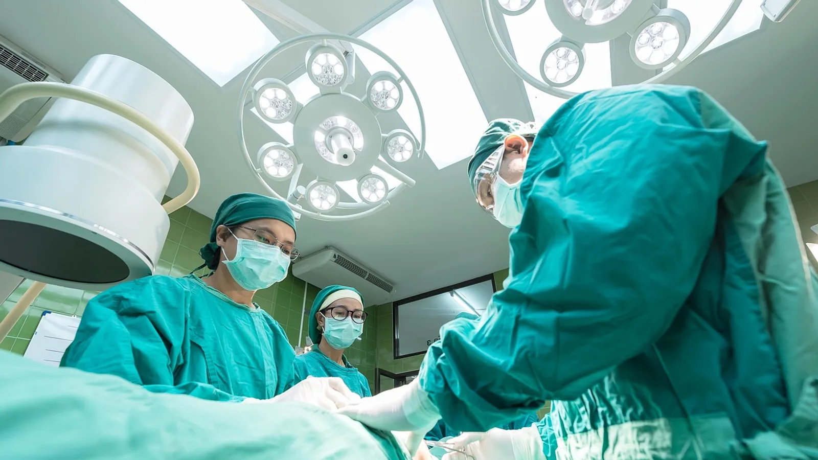 Ruptured Spleen Causes: Veterinary and Medical Overview