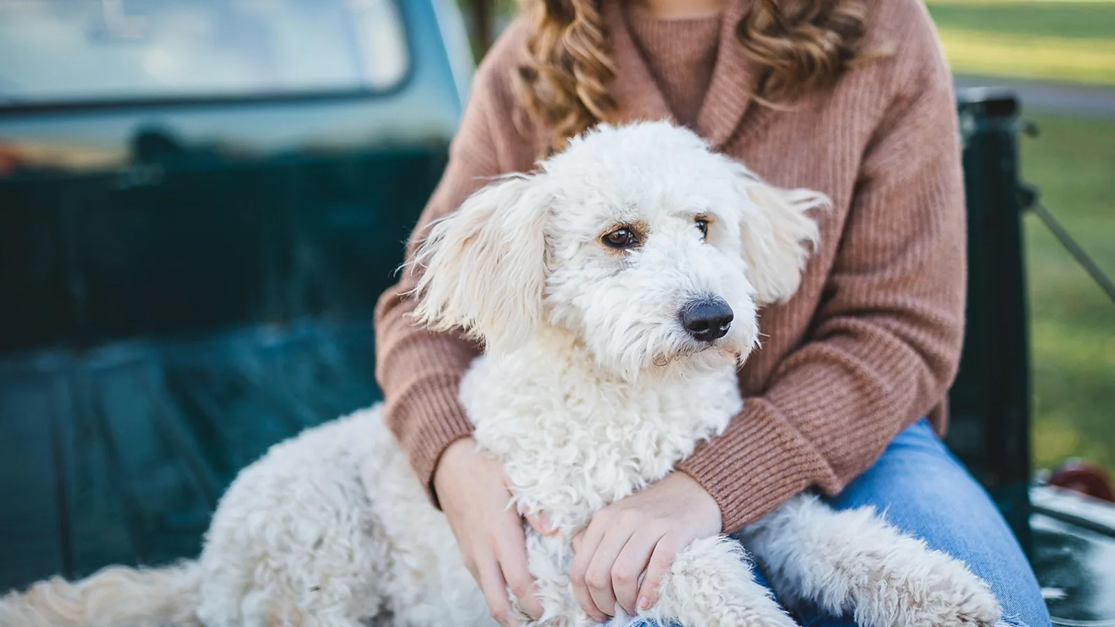 How Dogs Know Owner Love: Science Explained