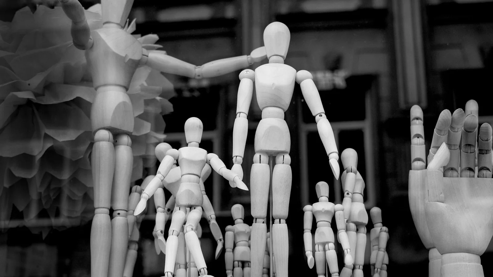 Body Regions: Anatomical Terminology Guide